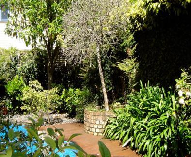 Bed and Breakfast Cotter House Luxury Retreat Окленд Экстерьер фото